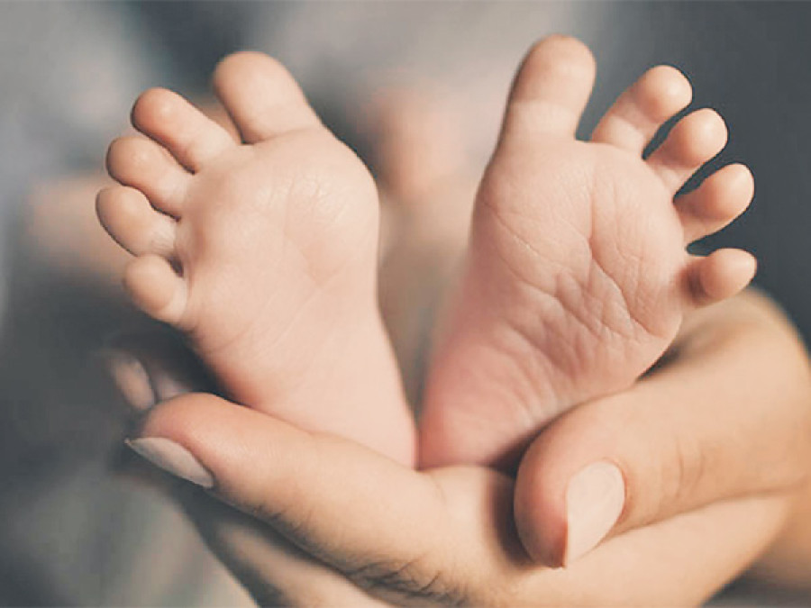 Surrogate parents want babies home