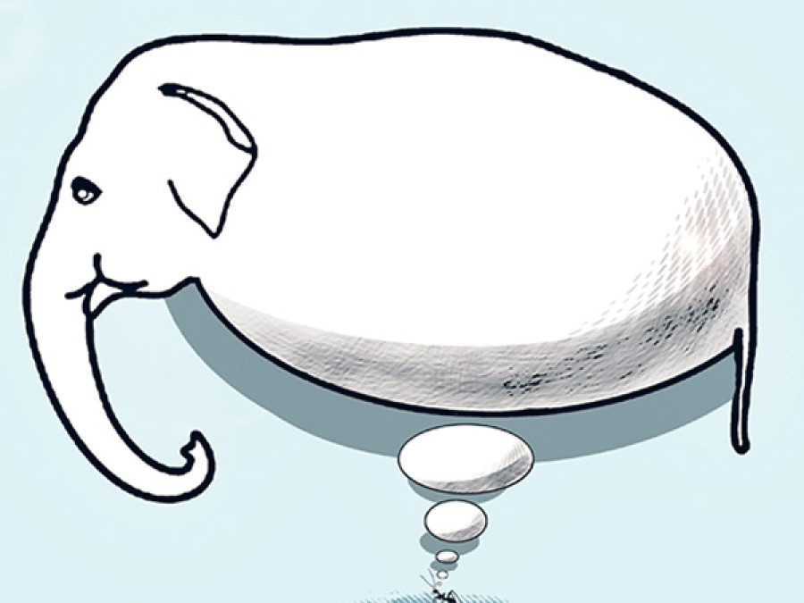 Elephant in the room
