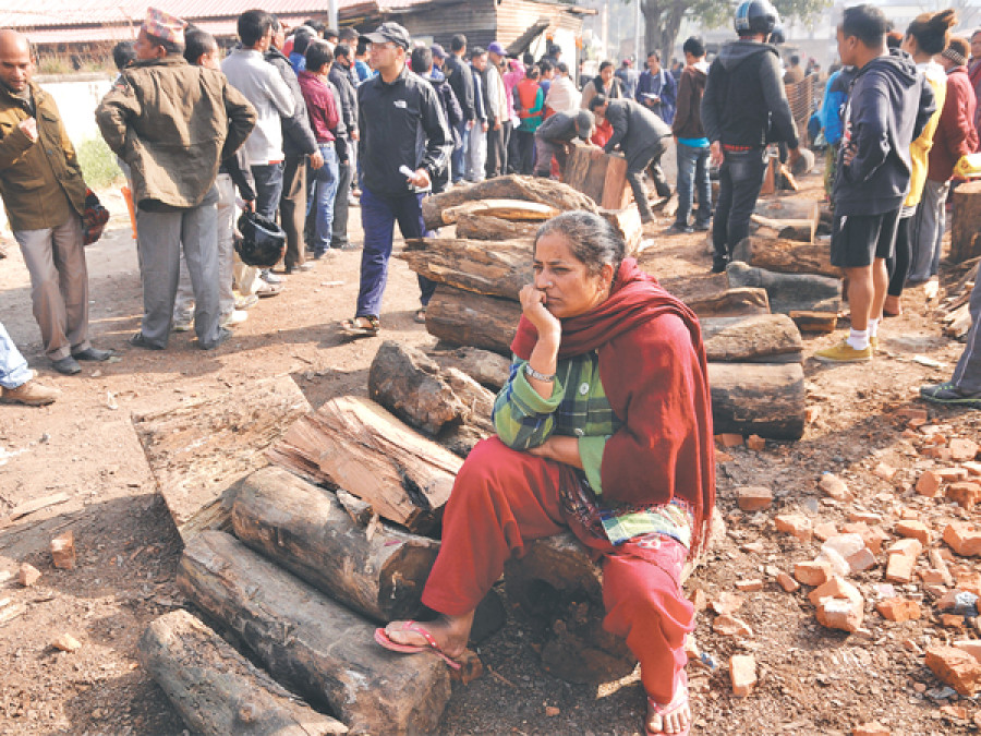 Govt sells firewood