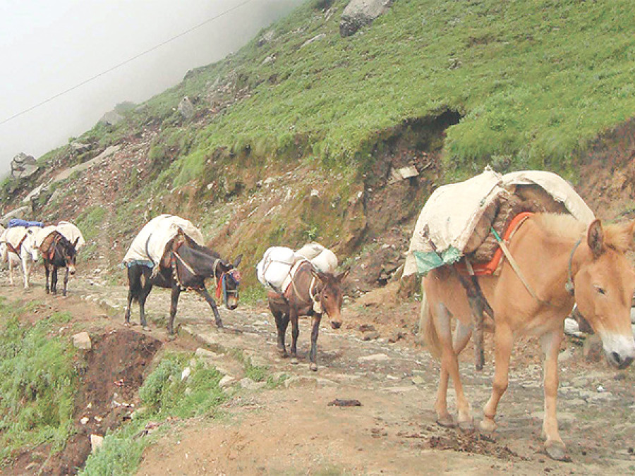 Villagers depend on animals to ferry goods
