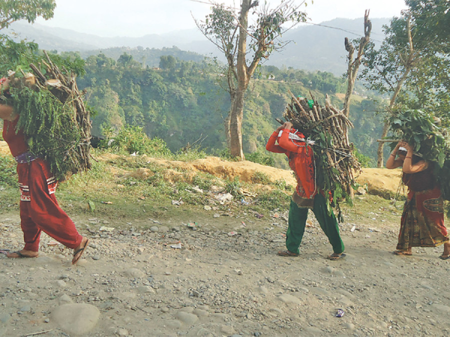 Community forests in Parbat allow locals to collect firewood