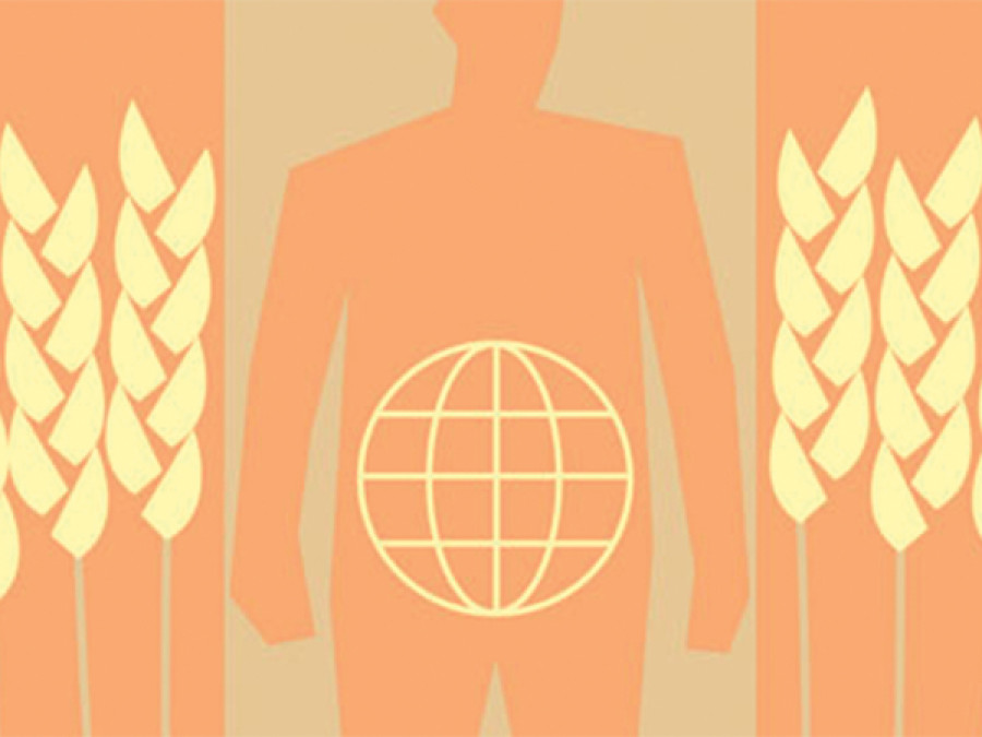Fight against hunger