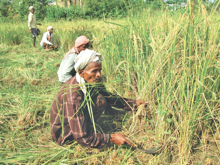 Madhes protest hits daily wage workers