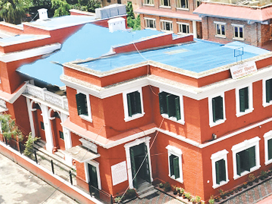 Vehicle imports largest source of customs revenue