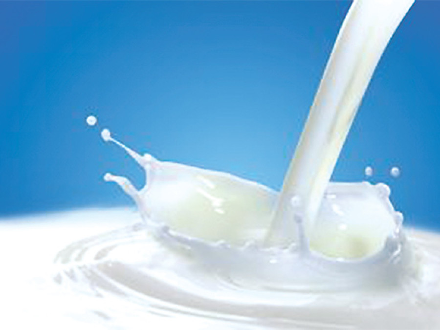 Cabinet approval to milk export plan