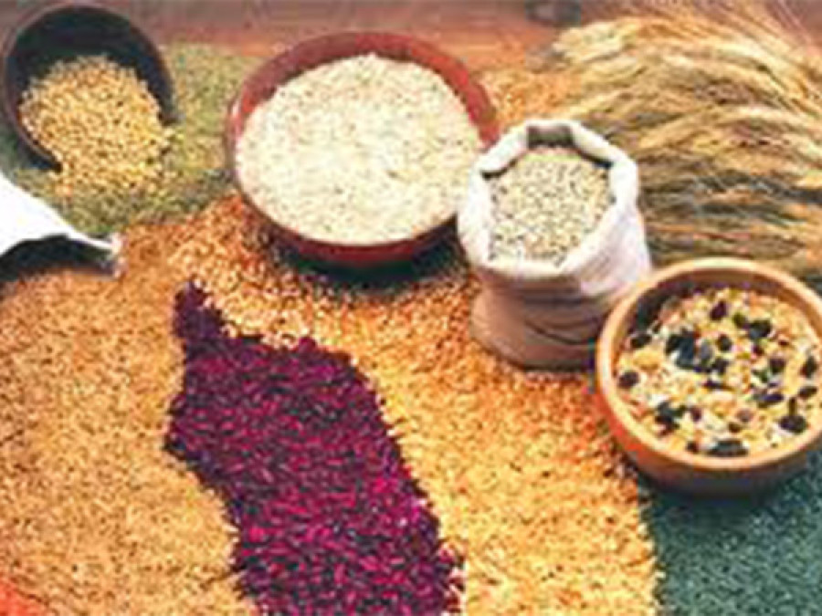 Local seeds handed over to ‘Gene bank’