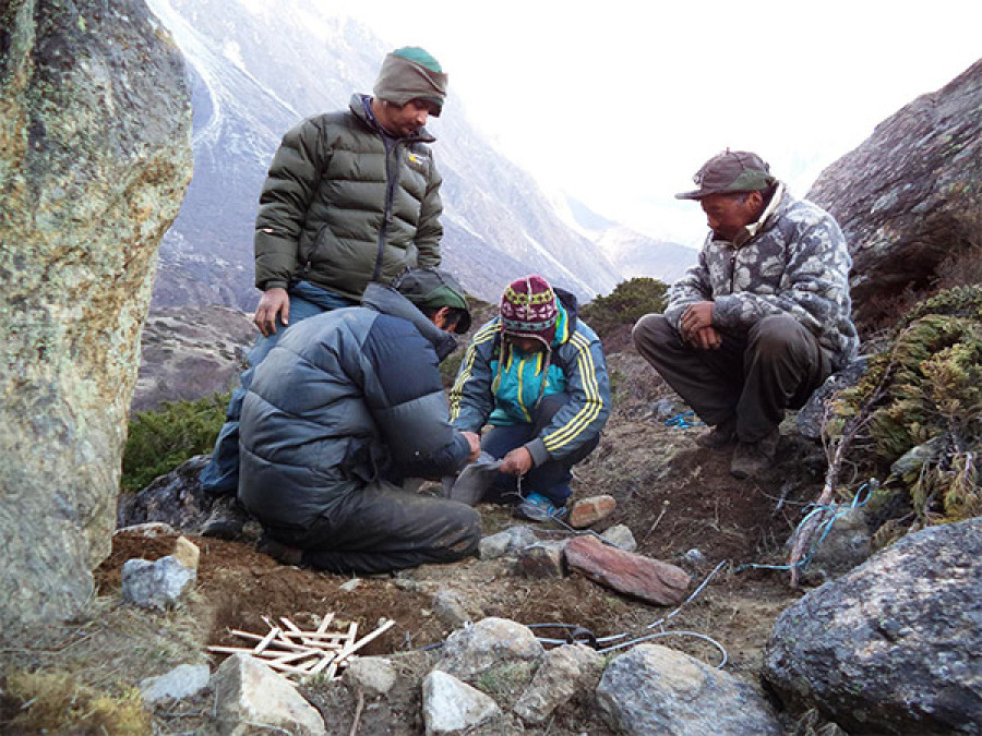 Snow leopard study becoming difficult: Experts