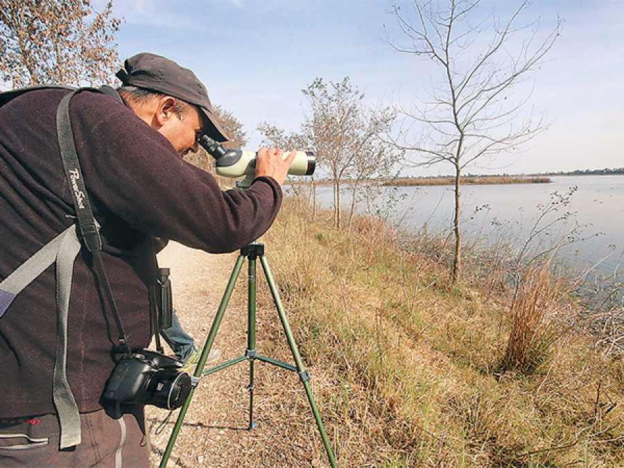 Jagdishpur Lake sees rise in number of water birds