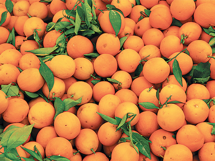 Parbat orange output up 25pc