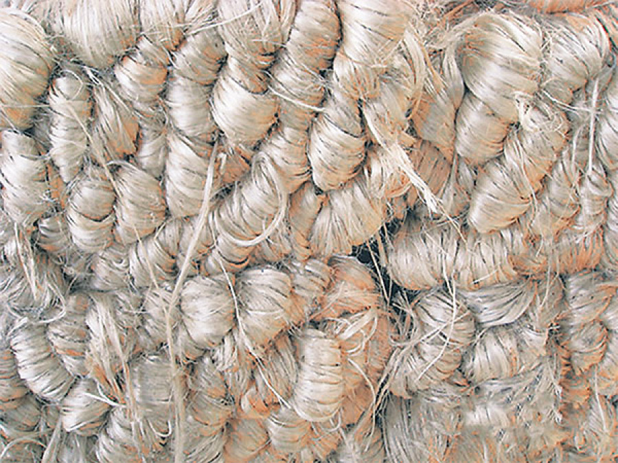 Good old jute industry fighting for survival