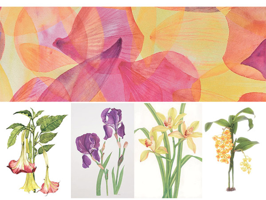 The art of drawing plants