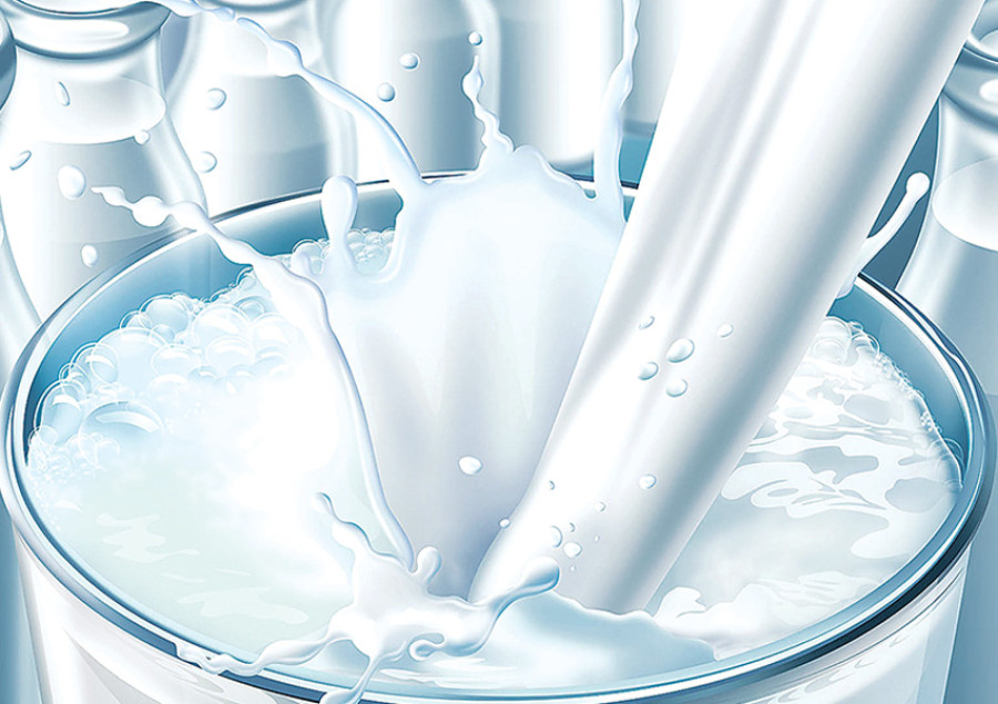Chances of milk holiday ‘high’