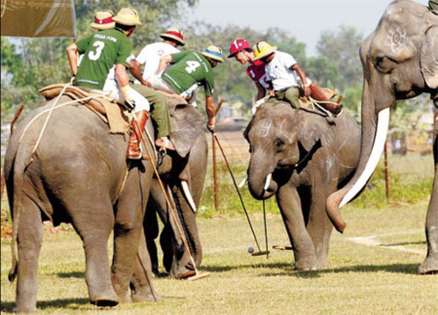 EFG Switzerland wins Elephant Polo Championship