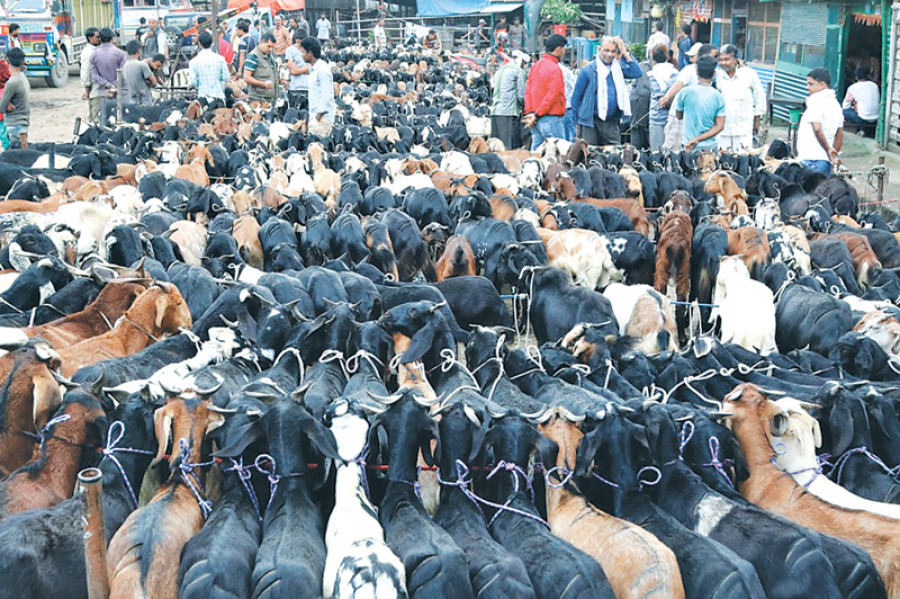 Meat sales total Rs1.32b in Valley during Dashain
