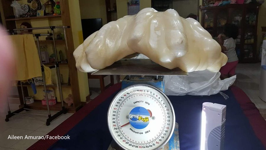World's largest pearl worth 100 mln dollars to be on display in Philippines