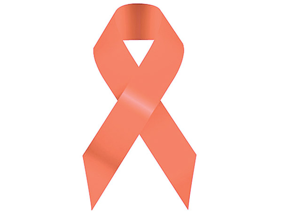Baitadi saw 27 Aids-related deaths in six years: DHO