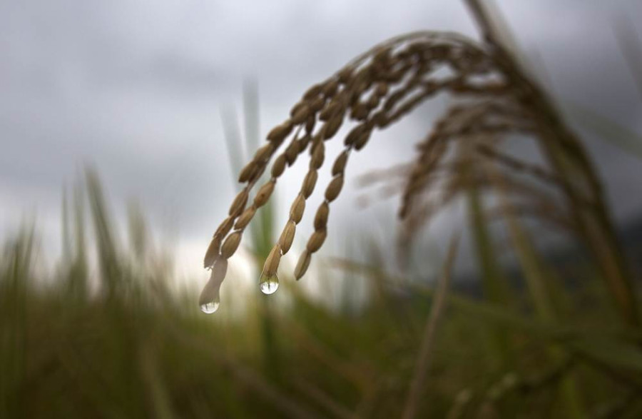 Climate change warming Asian waters, altering monsoon: Study