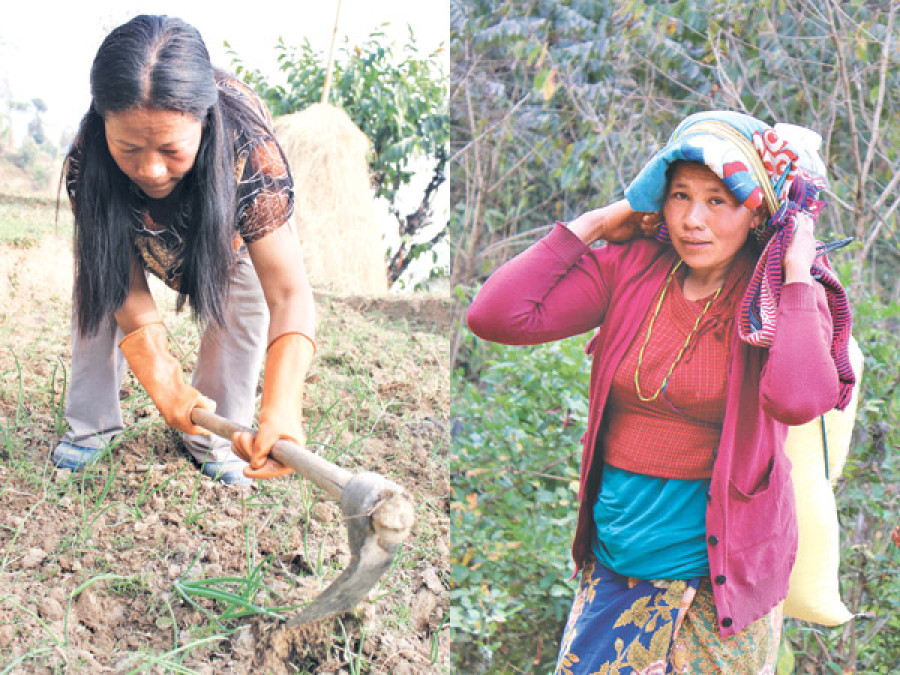 Migration and rural change