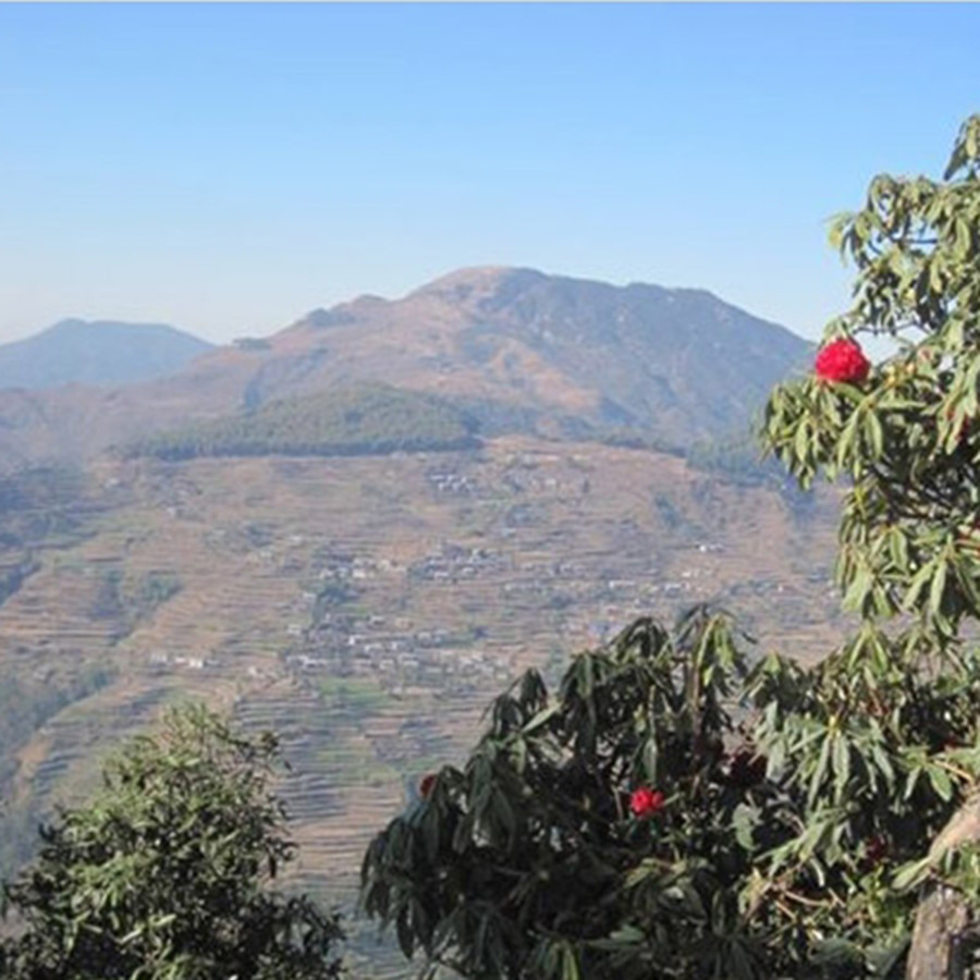 In call for cases, Doramba folk see chance for justice