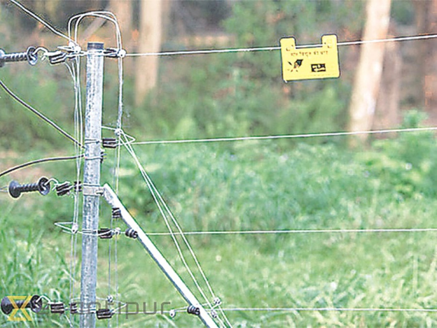 Electric fence in place to keep tuskers at bay