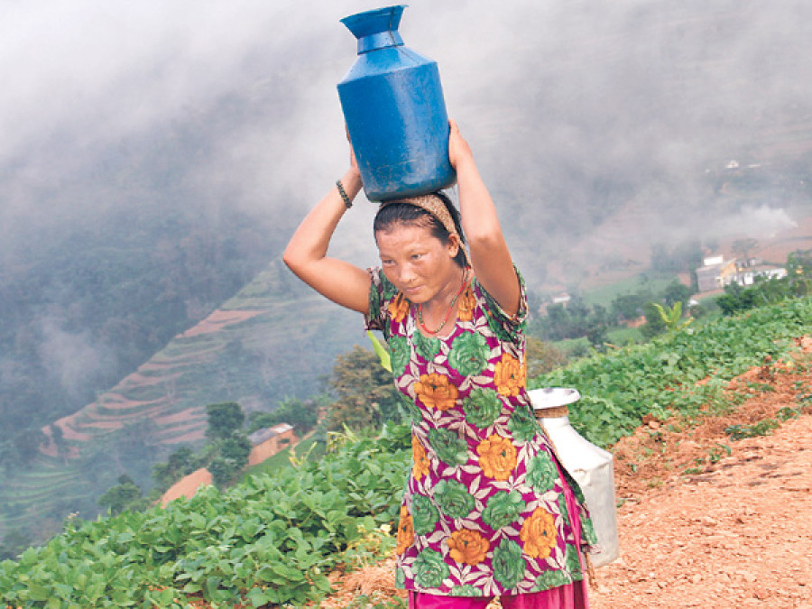 Days hot, dry spell hits crops
