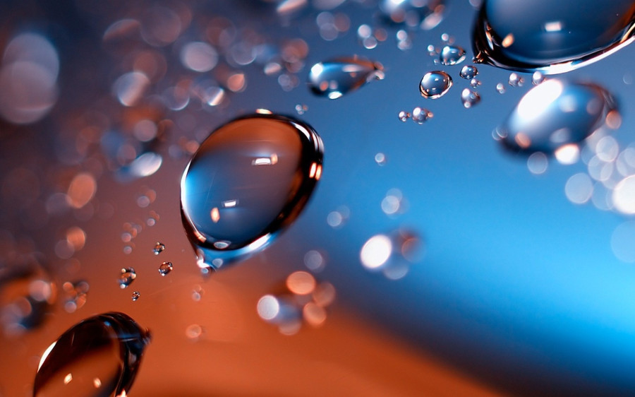 The water fiesta