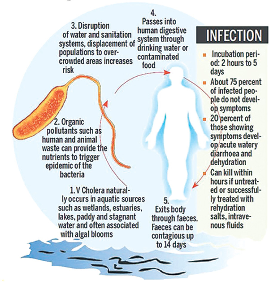 MoH urges caution against cholera