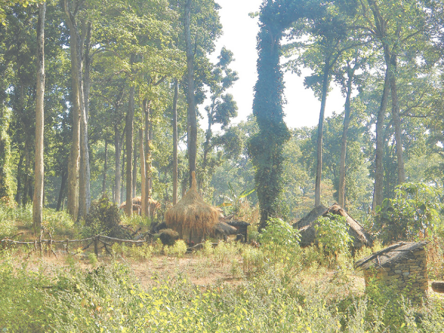 Encroachment rife in Jajarkot