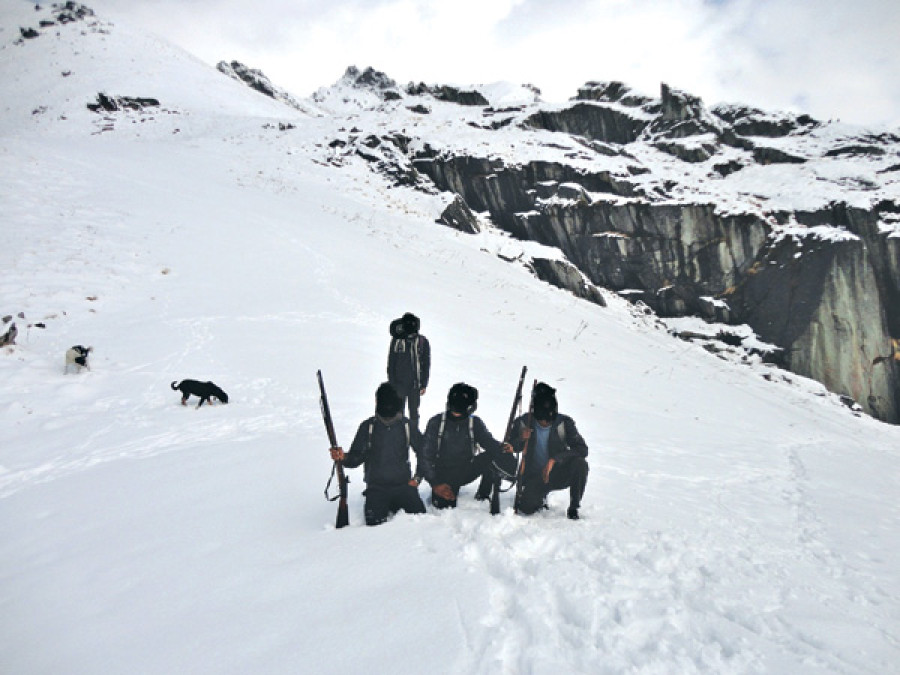 ‘Illegal hunting rife in Bajhang during Yarsa collection time’