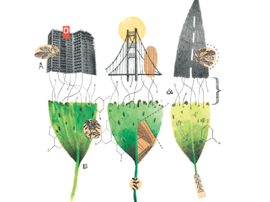 The green bridge