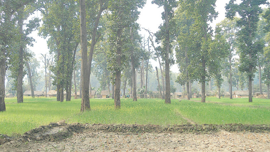 350 ha forest land grabbed in Bardiya