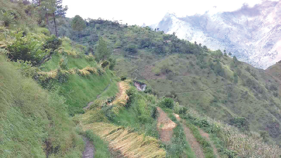 Darchula reeling under food deficit