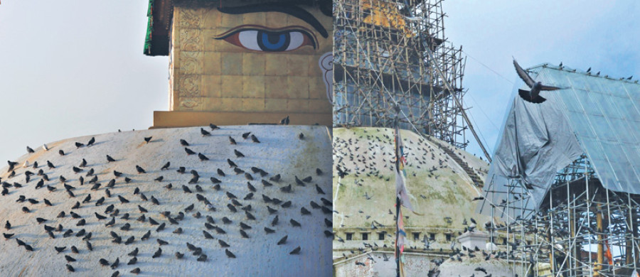 Boudhanath Stupa reopens
