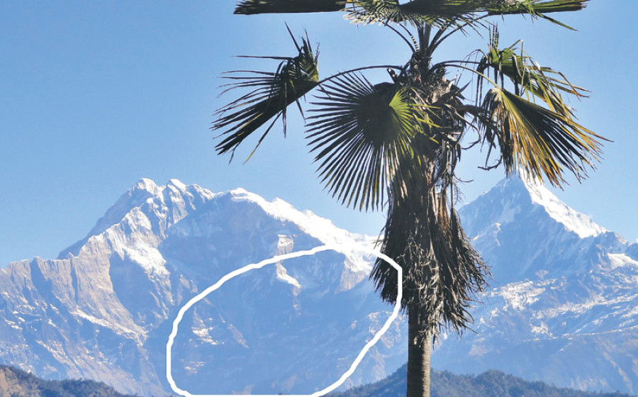 Dry landslide strikes Annapurna region