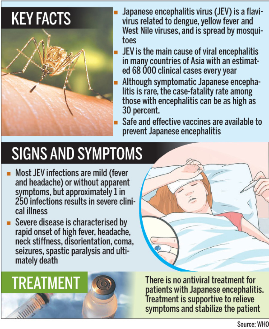 15-year-old boy dies of Japanese encephalitis