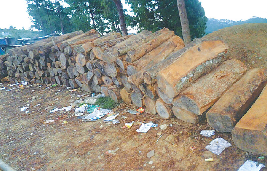 17,000 cu ft timber distributed in Sindhupalchok