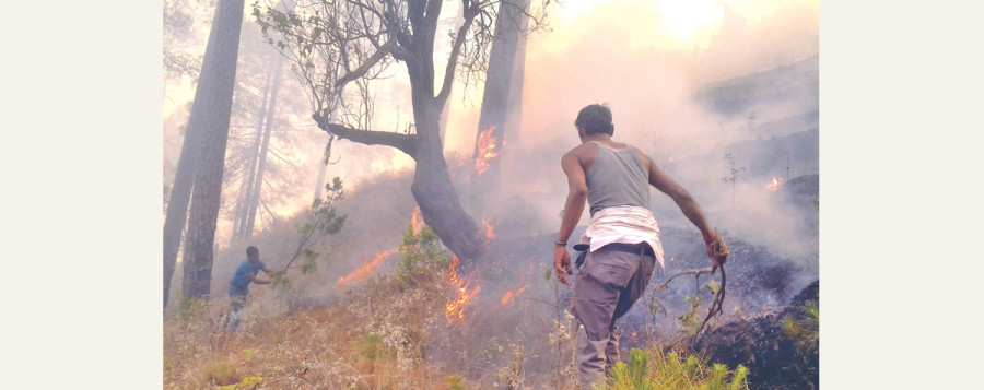 Forest fires continue to rage across country