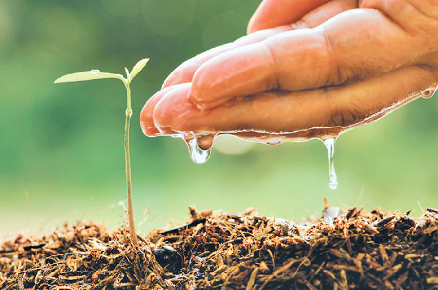 Carbon-neutral farming