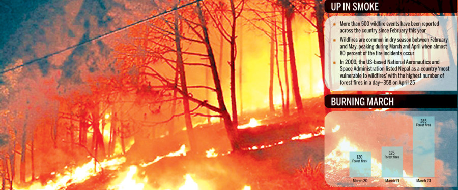 Haze attributed to raging jungle blaze