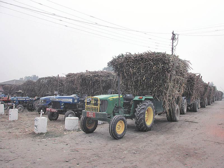 Sugar output down amid raw material shortage