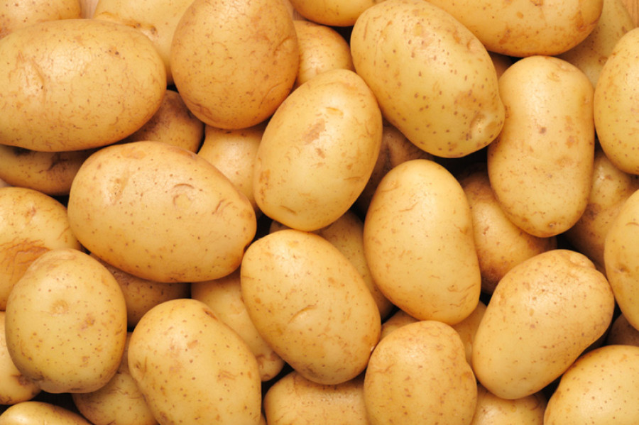 Long drought hits potato production in Dolakha