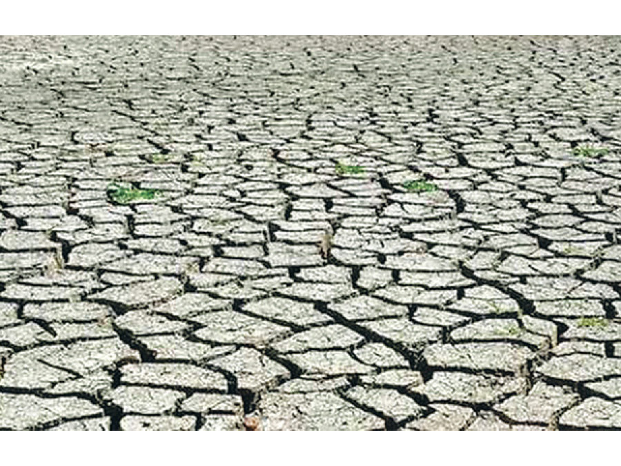 Western Region faces crop losses of Rs2.81 billion