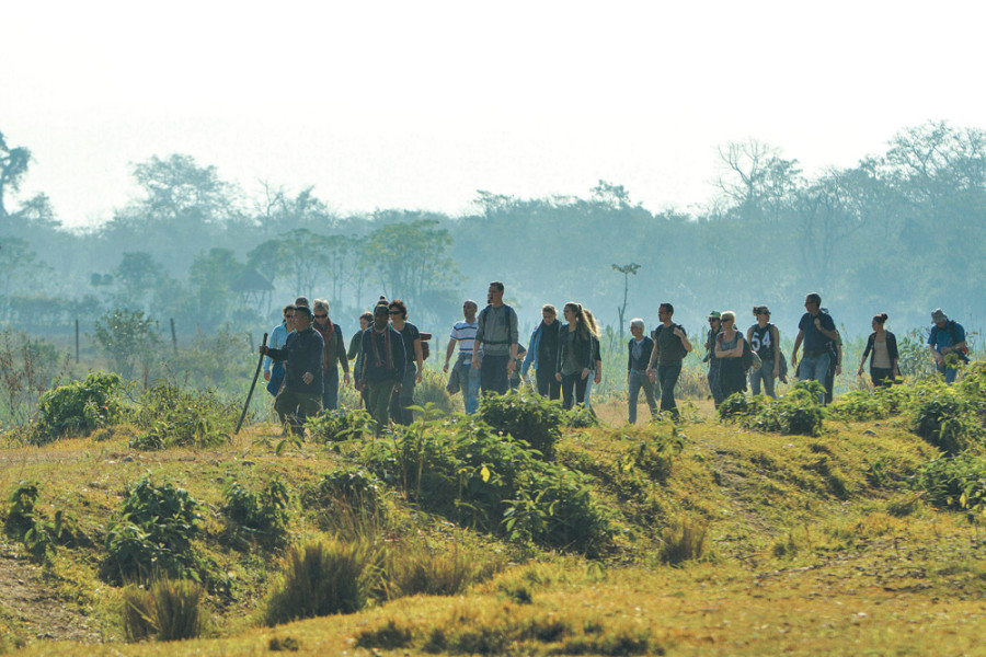 Tourist spending, stay rise as arrivals plunge
