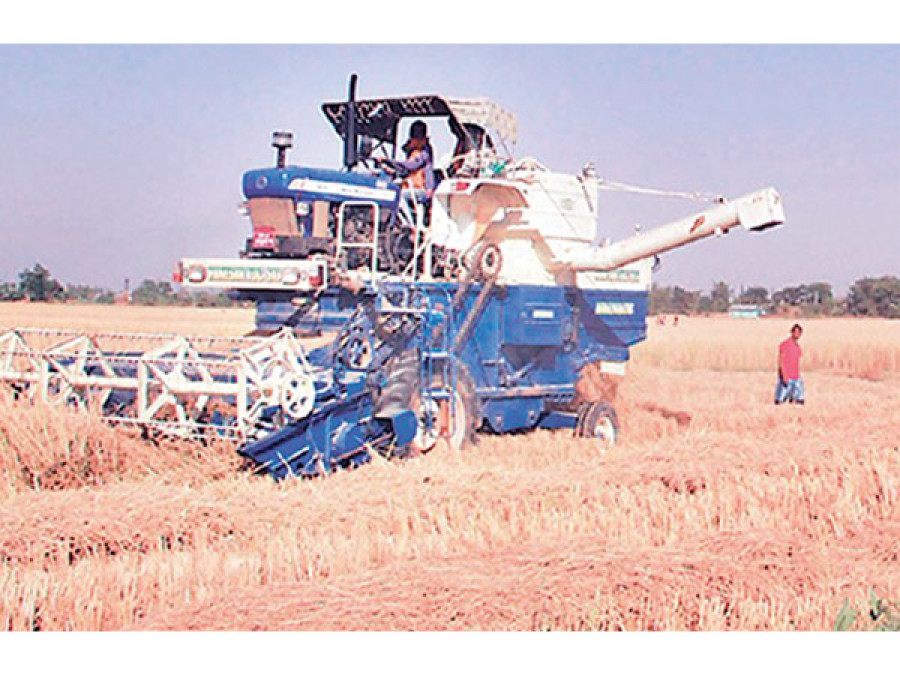 Nepal’s farm sector likely to see negative growth