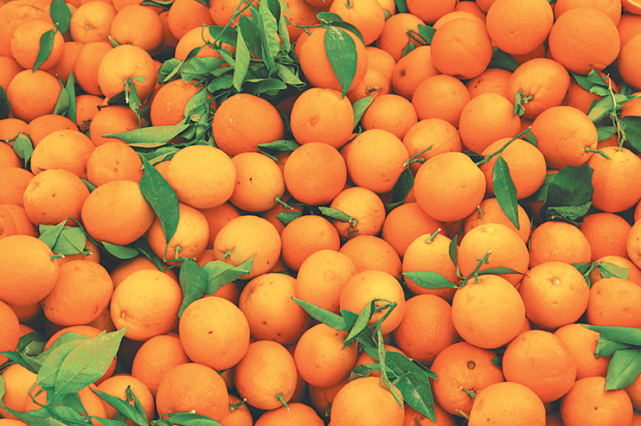 Lack of cold storage hurting farmers in East
