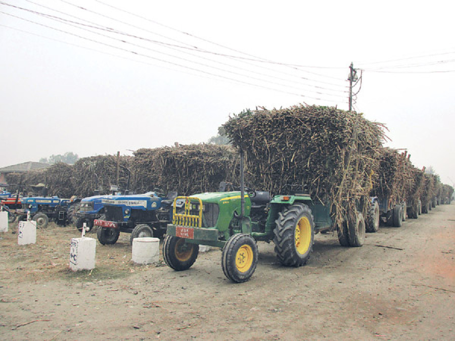 Stingy mills put cane farmers at wit’s end