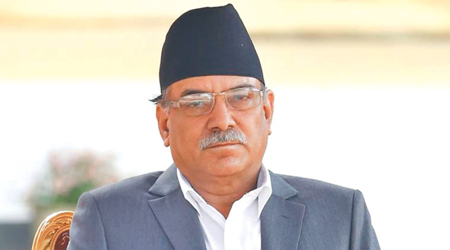 Govt to transfer its shares in project to public: Dahal
