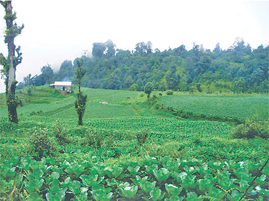 Demand up for agri insurance products