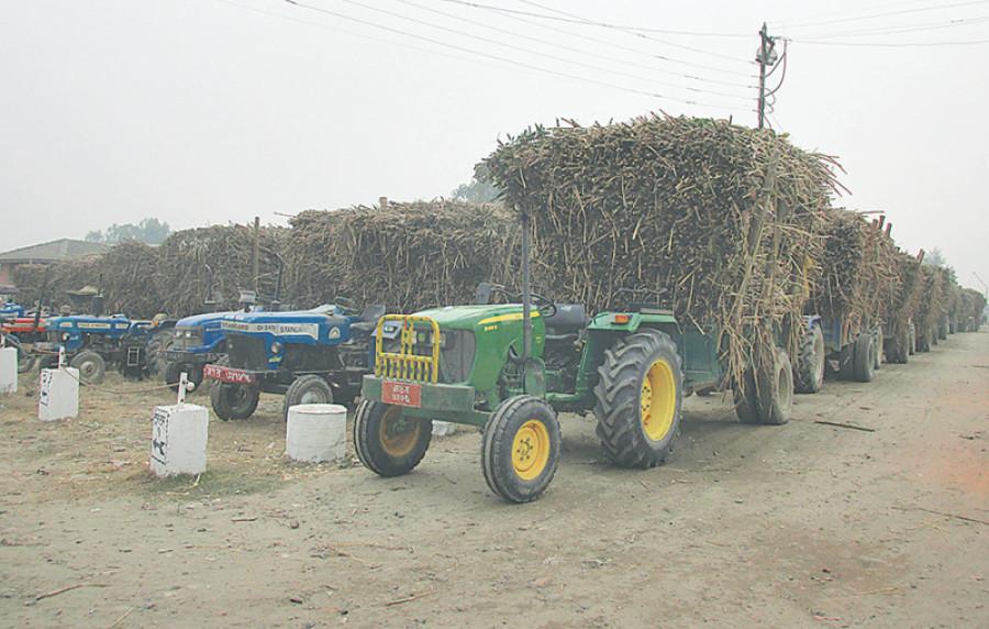 Sugar mills, farmers fail to set sugarcane price for this season