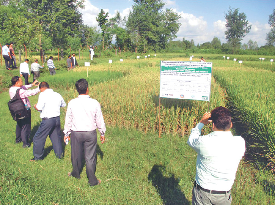 Glowing test results raise output hopes